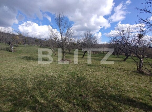 Teren de vânzare Exterior Est - 137948TV | BLITZ Bistriţa | Poza1