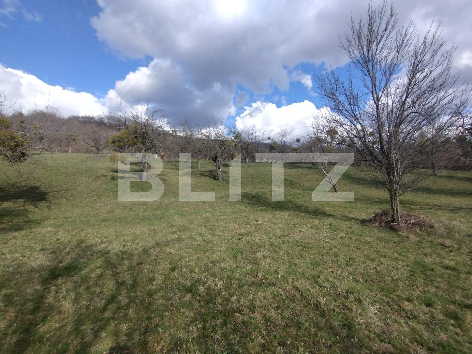 Teren de vânzare Exterior Est - 137948TV | BLITZ Bistriţa | Poza2