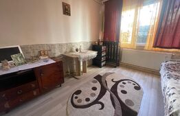 Camera de camin, 20 mp, zona Garii