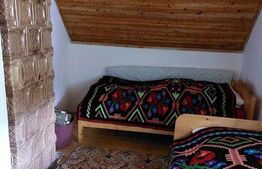 Cabana 3 camere, 142mp, Colibița