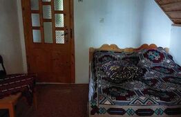 Cabana 3 camere, 142mp, Colibița