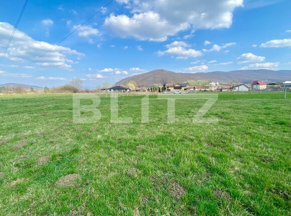 Teren de vânzare Arcalia - 138030TV | BLITZ Bistriţa | Poza1