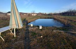 Casa 150mp,P+1,anexe+teren 4200mp+balta de pesti 9km distanta de Beclean