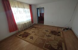 Casa 150mp,P+1,anexe+teren 4200mp+balta de pesti 9km distanta de Beclean