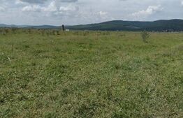 Teren de vanzare - 2,37  H 