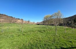 Teren extravilan, 700mp, Sigmir 