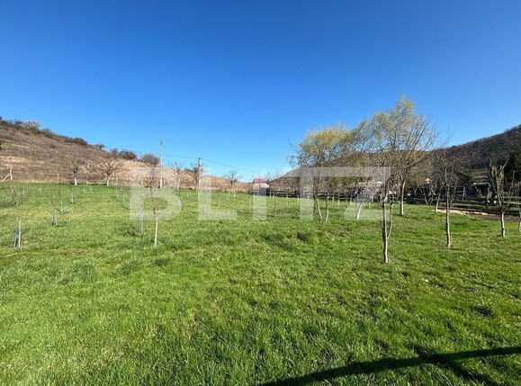 Teren de vânzare Sigmir - 138227TV | BLITZ Bistriţa | Poza1