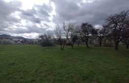 Casa 80mp,+teren 7500mp,intravilan,zona Valea Bargaului