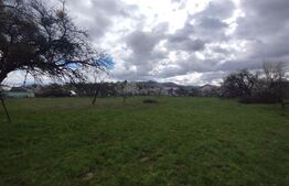 Casa 80mp,+teren 7500mp,intravilan,zona Valea Bargaului