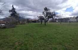 Casa 80mp,+teren 7500mp,intravilan,zona Valea Bargaului