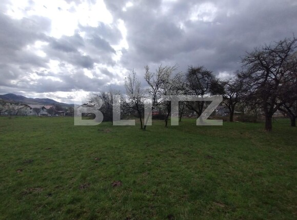 Casa de vânzare 4 camere Josenii Bargaului - 138370CV | BLITZ Bistriţa | Poza4