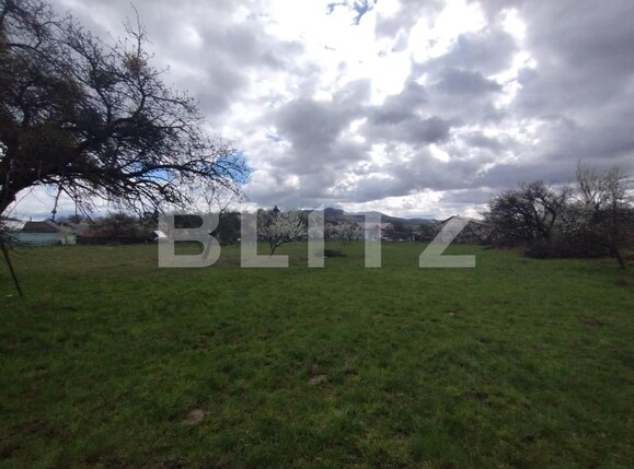 Casa de vânzare 4 camere Josenii Bargaului - 138370CV | BLITZ Bistriţa | Poza6