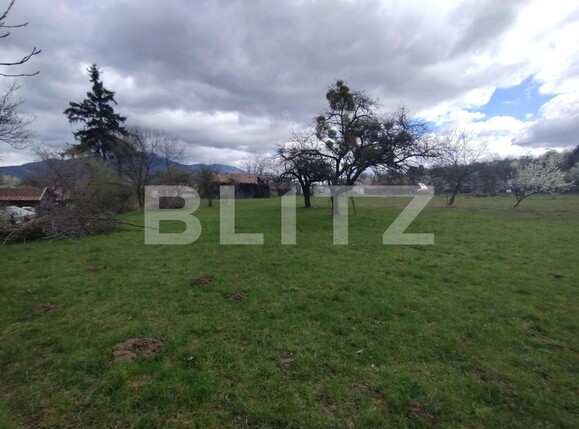 Casa de vânzare 4 camere Josenii Bargaului - 138370CV | BLITZ Bistriţa | Poza5