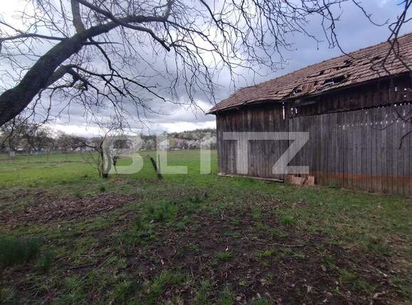 Casa de vânzare 4 camere Josenii Bargaului - 138370CV | BLITZ Bistriţa | Poza8