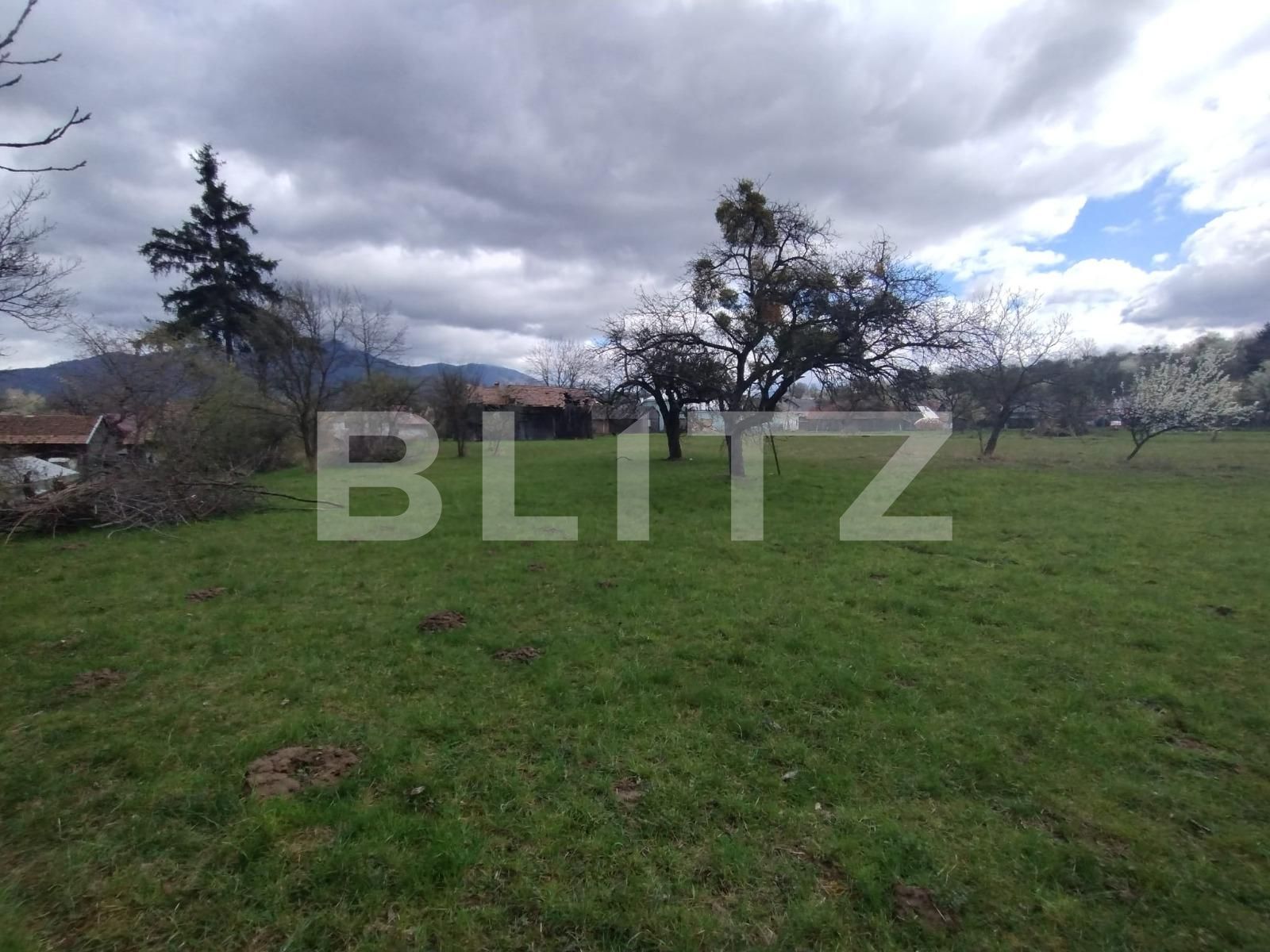 Casa de vânzare 4 camere Josenii Bargaului - 138370CV | BLITZ Bistriţa | Poza5