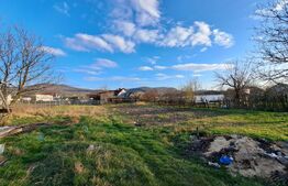 Casa 3 camere / teren 22 arii / Unirea