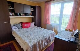 Casa 4 camere/ Teren 10 arii/ Unirea