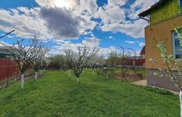 Casa 4 camere/ Teren 10 arii/ Unirea