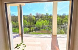 Casa de vanzare in Ghinda, 3 Dormitoare, peste 15 ari de teren