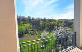 Casa de vanzare in Ghinda, 3 Dormitoare, peste 15 ari de teren