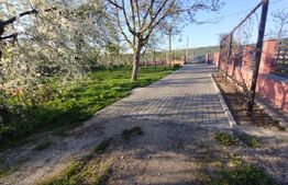 Casa 130 mp+50 ari teren, zona Beclean