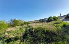 Teren Intravilan, 1242 mp, zona SIGMIR