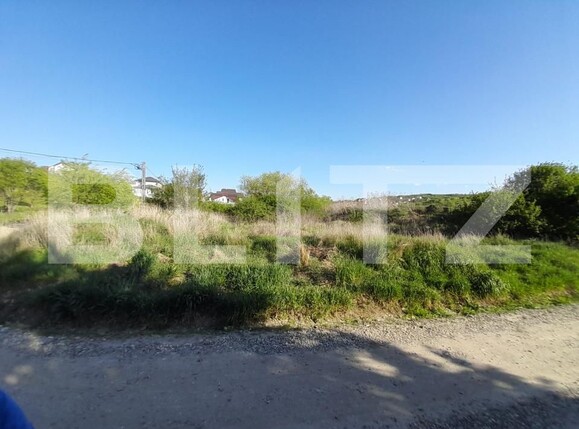 Teren de vânzare Centura - 138916TV | BLITZ Bistriţa | Poza2