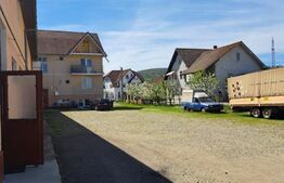 Spatiu comercial,-depozit, 60mp, zona periferie