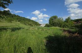 Teren intravilan 50 arii pe str.  Valea Ghinzii