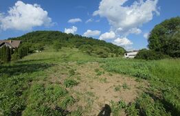 Teren de vânzare Exterior Nord - 164499TV | BLITZ Bistriţa | Poza2