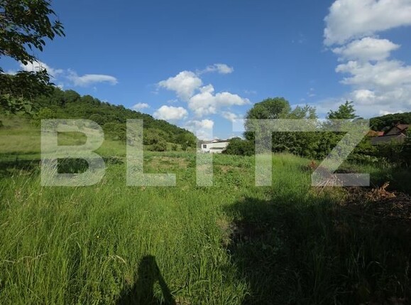 Teren de vânzare Periferie - 139048TV | BLITZ Bistriţa | Poza2
