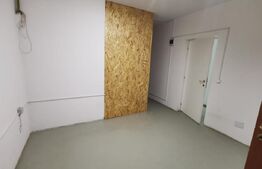 Spatiu comercial 144mp utili, Viisoara