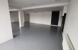 Spatiu comercial 144mp utili, Viisoara