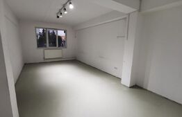 Spatiu comercial 144mp utili, Viisoara