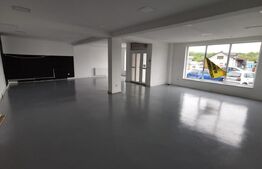 Spatiu comercial 144mp utili, Viisoara