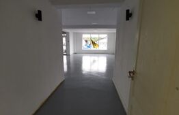 Spatiu comercial 144mp utili, Viisoara