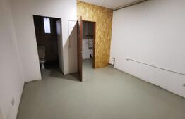 Spatiu comercial 144mp utili, Viisoara