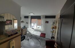 Spatiu comercial,Coafor,Frizerie si Masaj.100Mp.utili.Zona Han