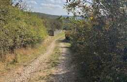 Teren extravilan, 10000 mp, zona Valea Rusului