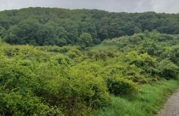 Teren extravilan, 10000 mp, zona Valea Rusului