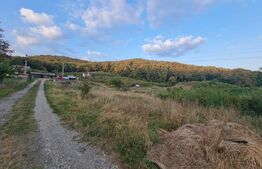 Teren extravilan, 10000 mp, zona Valea Rusului