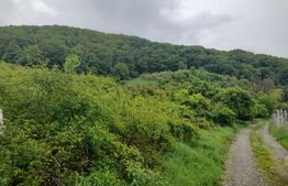 Teren extravilan, 10000 mp, zona Valea Rusului