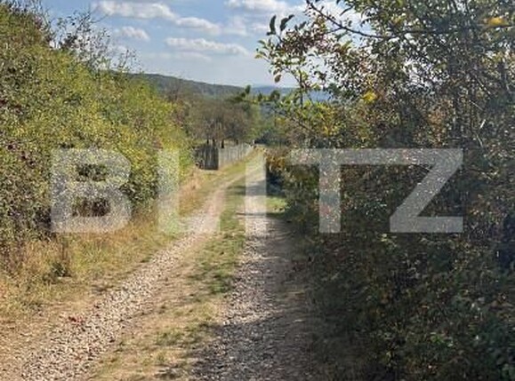 Teren de vânzare Exterior Nord - 139471TV | BLITZ Bistriţa | Poza4