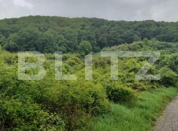 Teren de vânzare Exterior Nord - 139471TV | BLITZ Bistriţa | Poza1