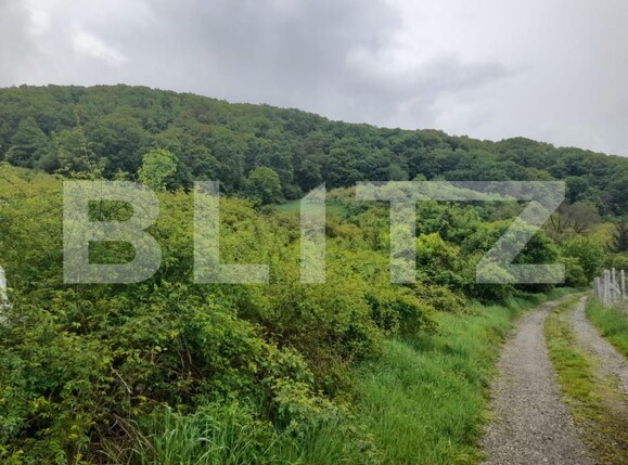 Teren de vânzare Exterior Nord - 139471TV | BLITZ Bistriţa | Poza2