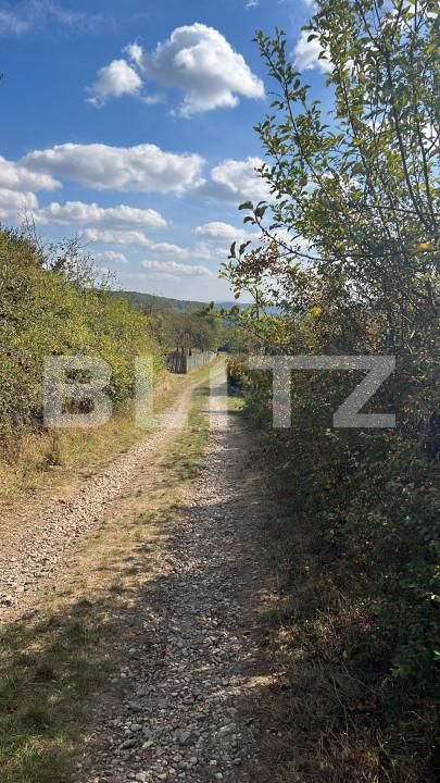 Teren de vânzare Exterior Nord - 139471TV | BLITZ Bistriţa | Poza4