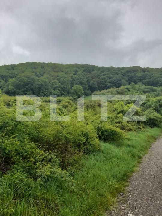 Teren de vânzare Exterior Nord - 139471TV | BLITZ Bistriţa | Poza1