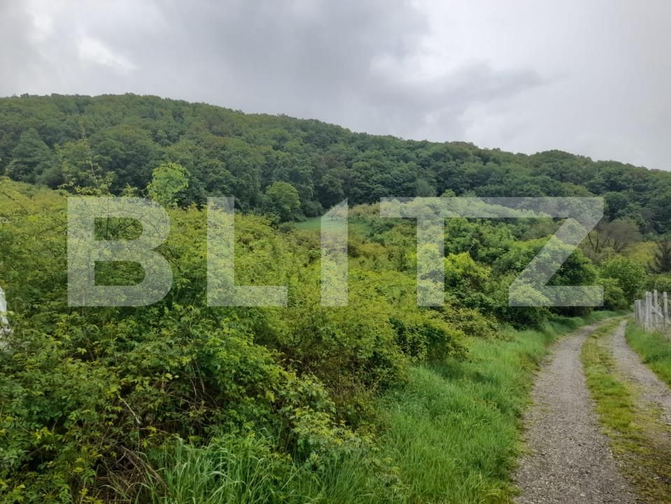 Teren de vânzare Exterior Nord - 139471TV | BLITZ Bistriţa | Poza2