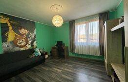 Casa 5 camere , 10km de Bistrita