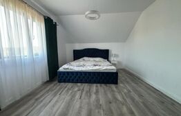 Casa 5 camere , 10km de Bistrita